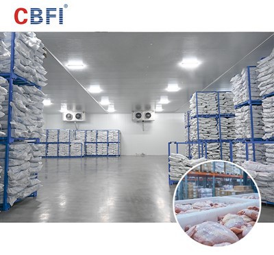 Grandes soluciones de almacenamiento en frío de productos del mar de CBFI para el sudeste asiático: el camino hacia una excelente conservación en climas tropicales